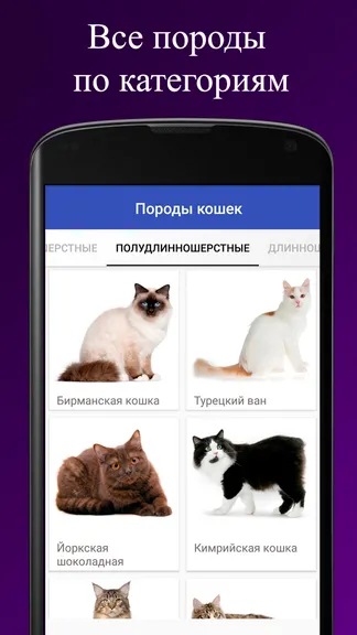 Скриншот 3/3