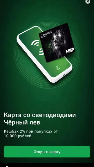 Скриншот 5/5