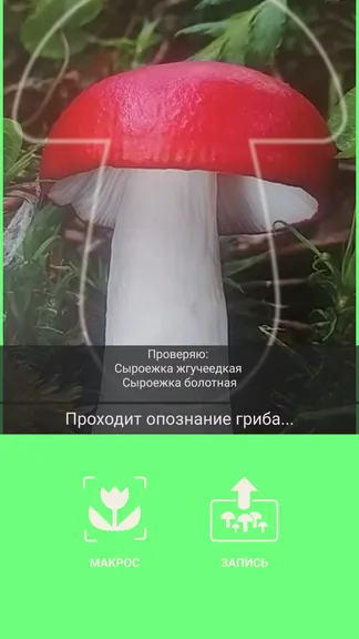 Скриншот 3/5