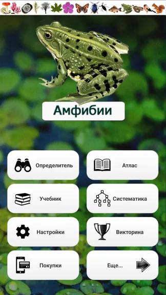 Скриншот 1/8