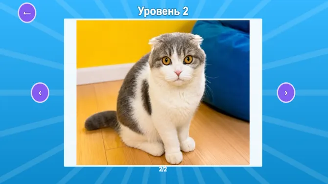 Скриншот 2/4