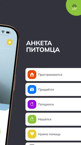 Скриншот 4/6