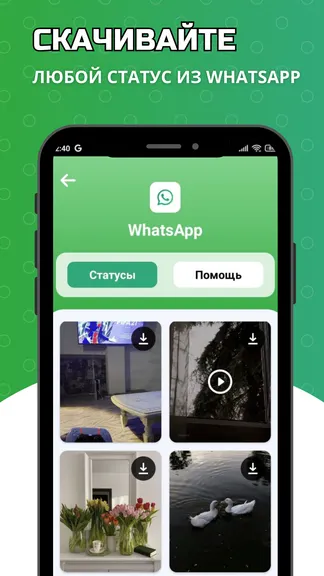 Скриншот 1/6