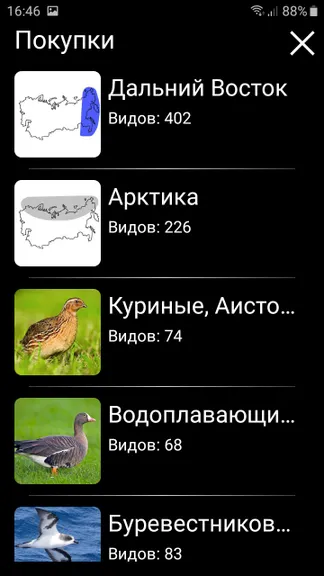 Скриншот 9/10