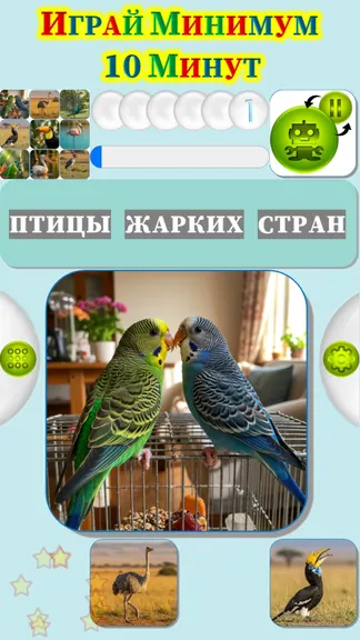 Скриншот 4/4