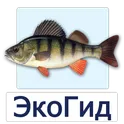 ЭкоГид: Рыбы логотип