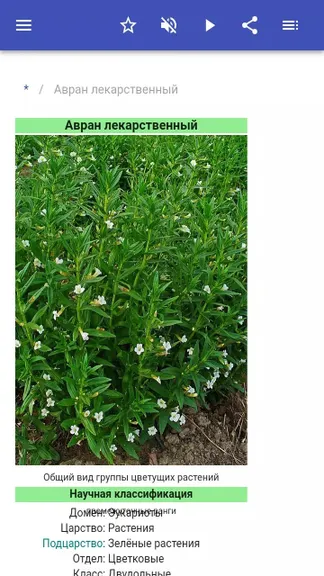 Скриншот 2/5