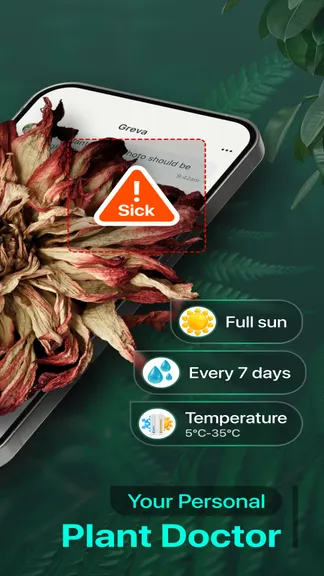 Скриншот 2/5