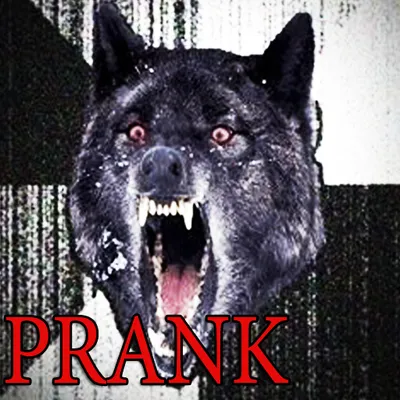 Prank Angry Wolf