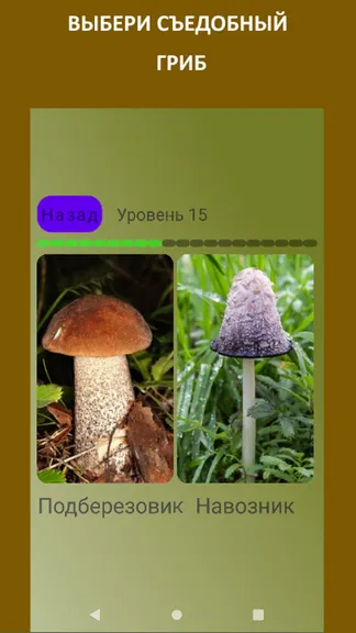 Скриншот 5/6