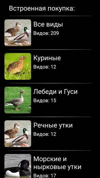 Скриншот 7/8