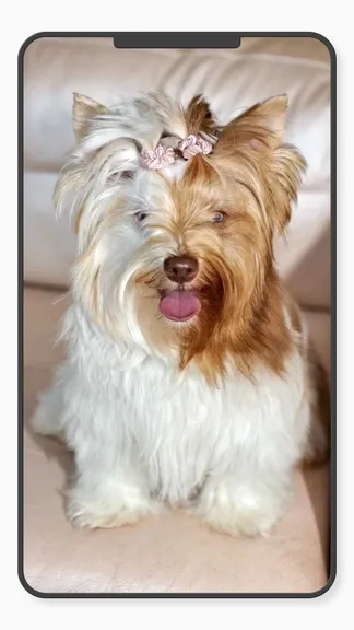 Скриншот 6/10