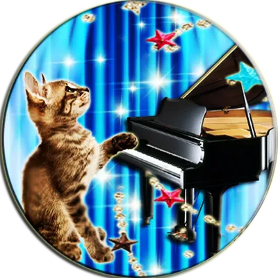 Play Cat Sounds On The Piano