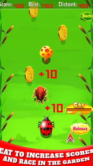 Игра Bug Racing — Детские 1,0★ — скачать для Android бесплатно 🎮 в RuStore