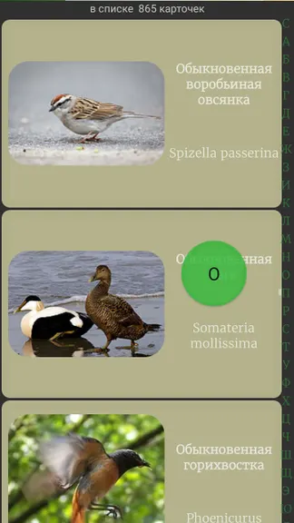 Скриншот 3/7
