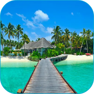 Tropical Beach Live Wallpaper