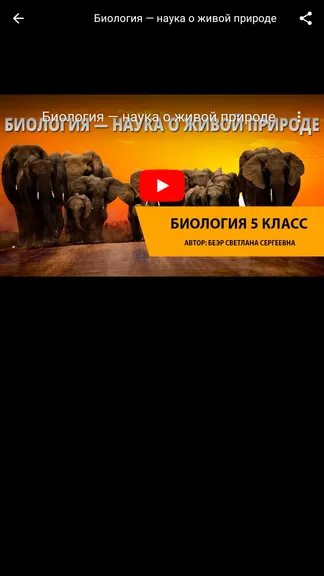 Скриншот 7/7