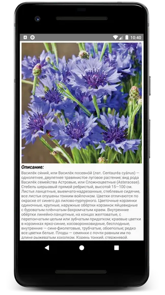 Скриншот 4/6