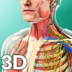 Human Anatomy логотип