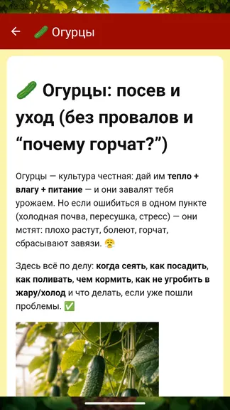 Скриншот 5/6