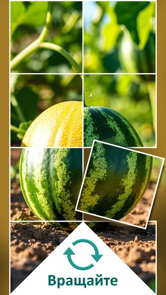 Скриншот 1/4