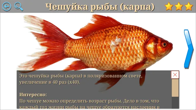 Скриншот 3/7