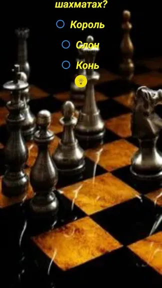 Скриншот 1/1