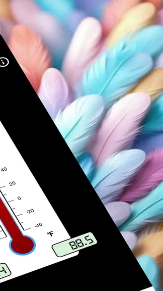 Скриншот 4/4