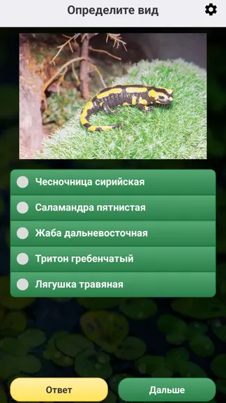 Скриншот 6/8