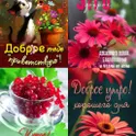 Все открытки логотип
