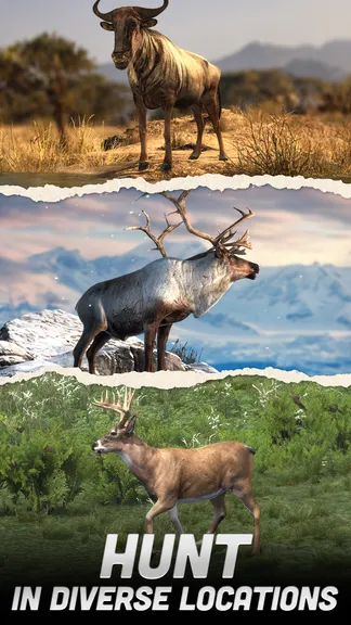 Скриншот 2/8