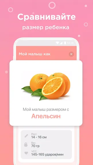 Скриншот 3/6