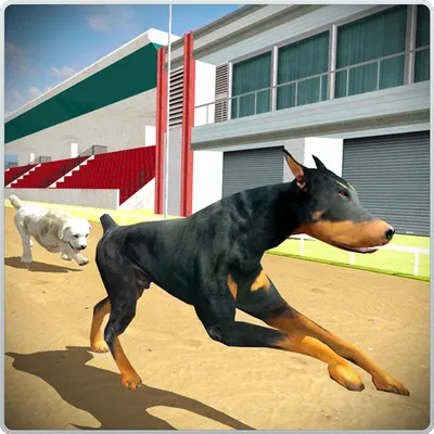 Dog Training Jump & Stunt Sim.