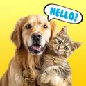 PetTalk логотип