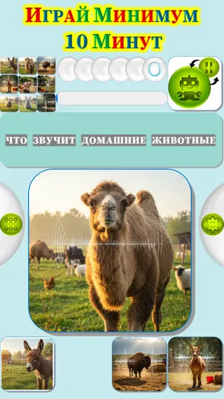 Скриншот 3/4