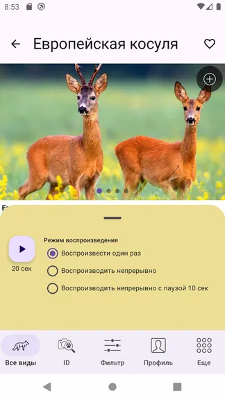 Скриншот 7/7