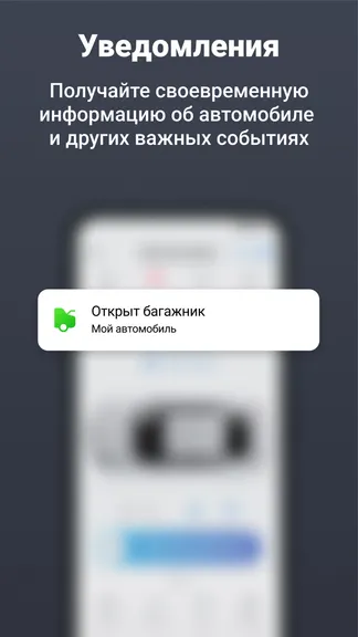 Скриншот 4/7