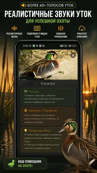 Скриншот 2/4