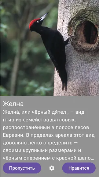 Скриншот 4/5