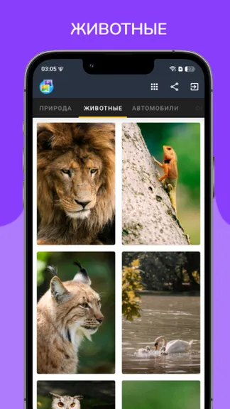 Скриншот 2/10