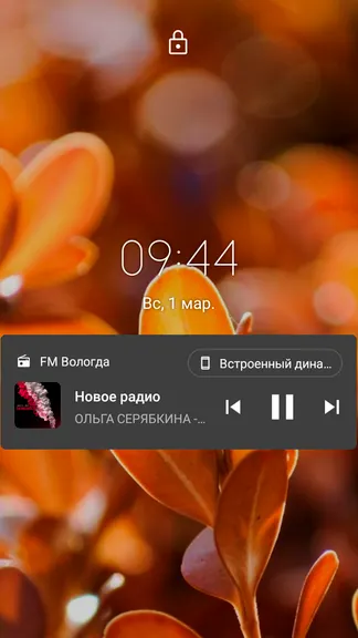 Скриншот 10/10