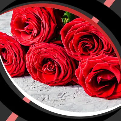 Live Wallpapers - Roses