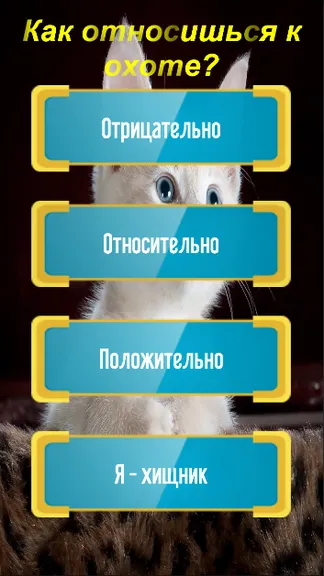 Скриншот 3/7
