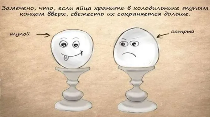 Скриншот 1/5
