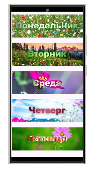 Скриншот 1/8