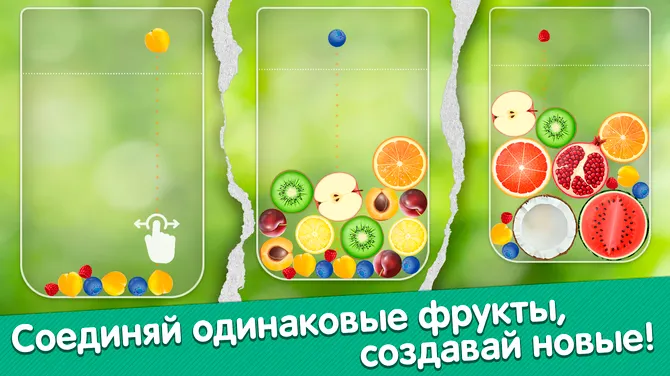 Скриншот 1/3