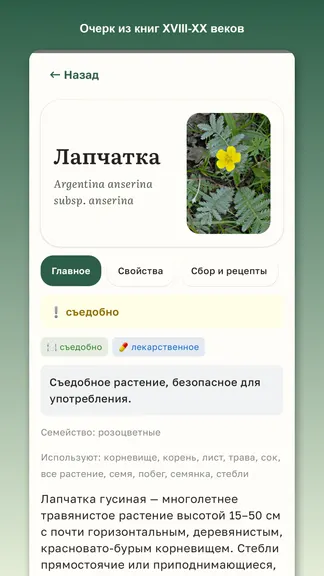 Скриншот 2/6