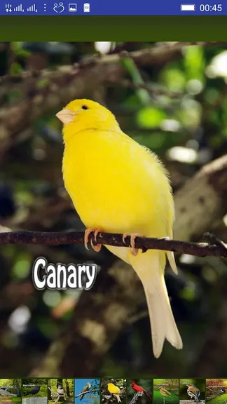 Скриншот 3/10