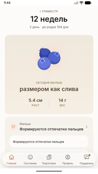 Скриншот 3/10