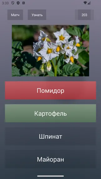 Скриншот 2/7